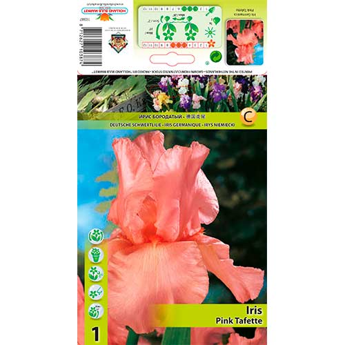 1 buc, Iris germanica (Stânjenel) Pink Tafette - Bulbi: Mod de ambalare: 1 buc