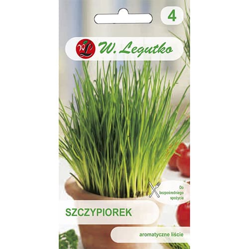 1 szt, Schnittlauch Medium leaf Legutko - Samen: Ilość w opakowaniu: 2 g