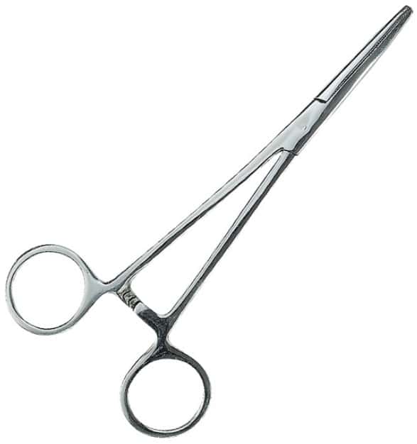 JAXON KLESZCZE Z PROSTĄ KOŃCÓWKĄ 15cm