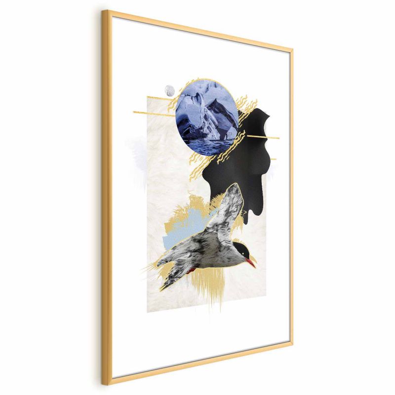 Plakat Artgeist Rybitwa antarktyczna 21x30 cm z ramą złotą 1 szt