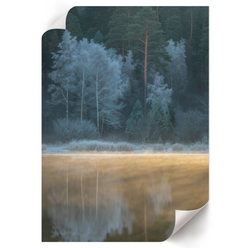 Grafika Na Ścianę ArtPrintCave 42x59,5 cm Leśna cisza Nitrozine 1 szt.