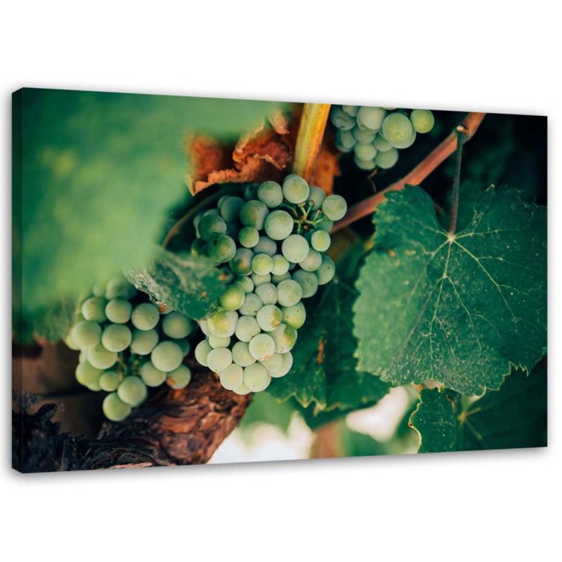 Obraz na płótnie Feeby Zielone Winogrona 120x80cm 1szt