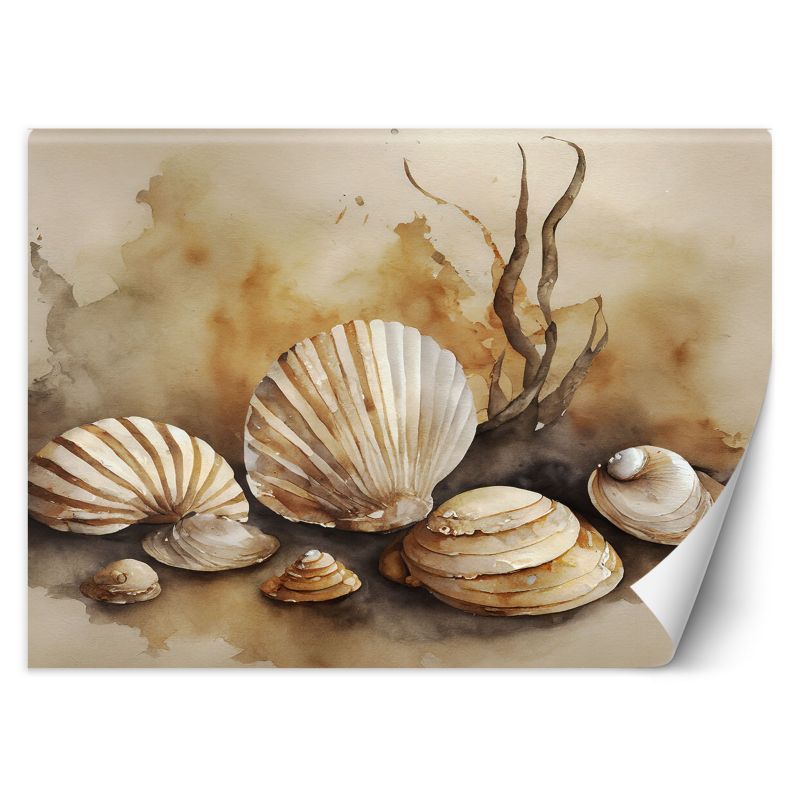 Fototapeta Feeby marynistyczny muszle akryl 350x245 1 szt