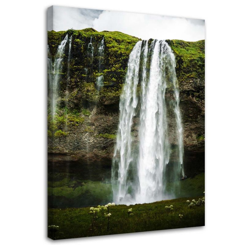 Obraz Feeby Wodospad góry natura pejzaż 60x90cm 1szt