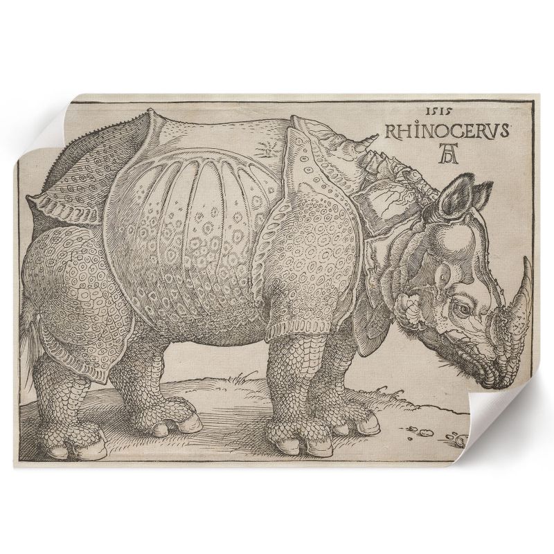 Plakat ArtPrintCave 84x59,5 cm Nosorożec Albrecht Dürer 1 szt.