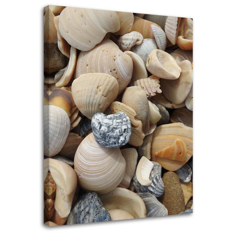 Obraz na płótnie Feeby Muszle i kamienie na plaży 80x120cm 1szt