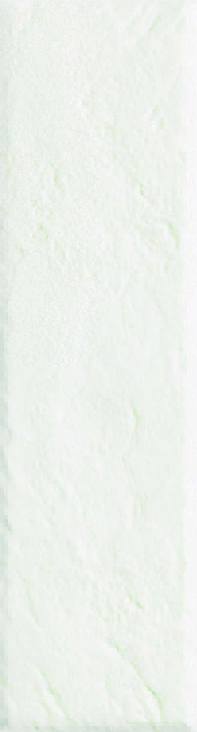 Paradyż Scandiano Bianco płytka elewacyjna 24x6,5 cm biała