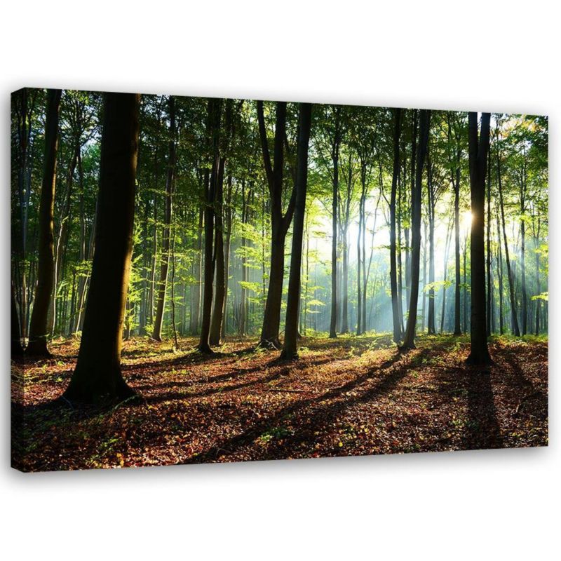 Obraz na płótnie Feeby Las o wschodzie słońca pejzaż 90x60cm 1szt