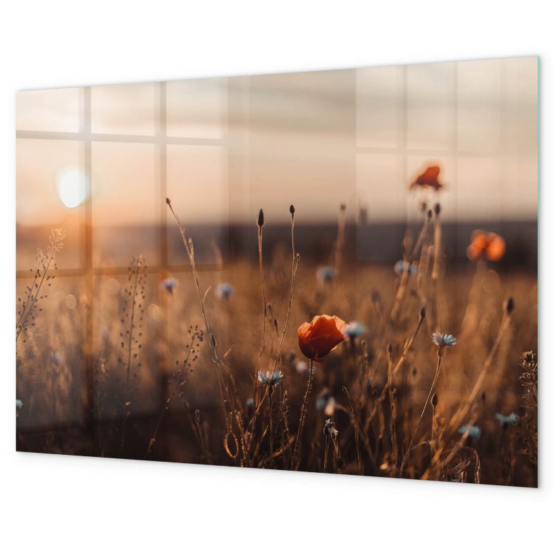 Magnetyczna Tablica Tulup 100x70 cm Pole wschód słońca Szkło hartowane 1 kpl