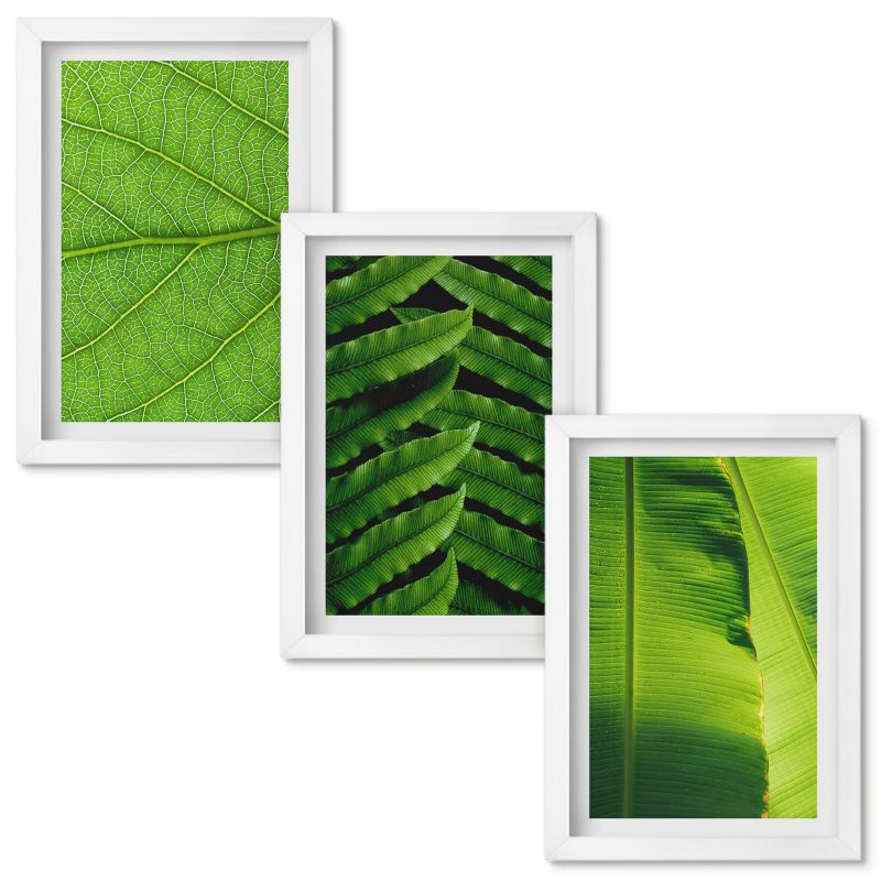 Obrazy Do Sypialni Wallfluent Liście tropikalne makrofotografia Biała rama 20x30cm 3 szt.