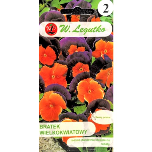 1 szt, Bratek Orange Violet - Nasiona: Ilość w opakowaniu: 0.3 g