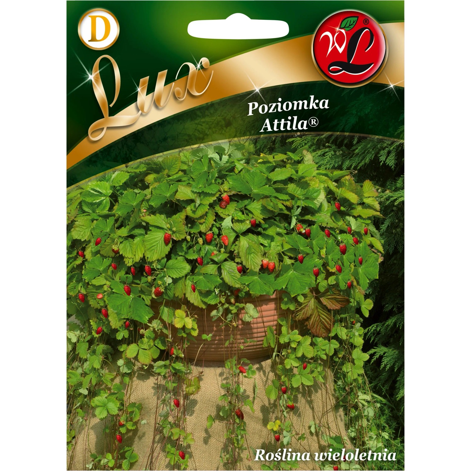 Poziomka Attila