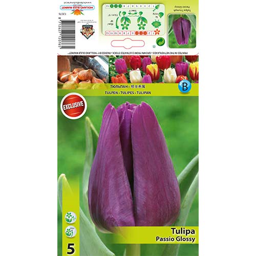 5 buc, Lalele Passio Glossy - Bulbi: Mod de ambalare: 5 buc