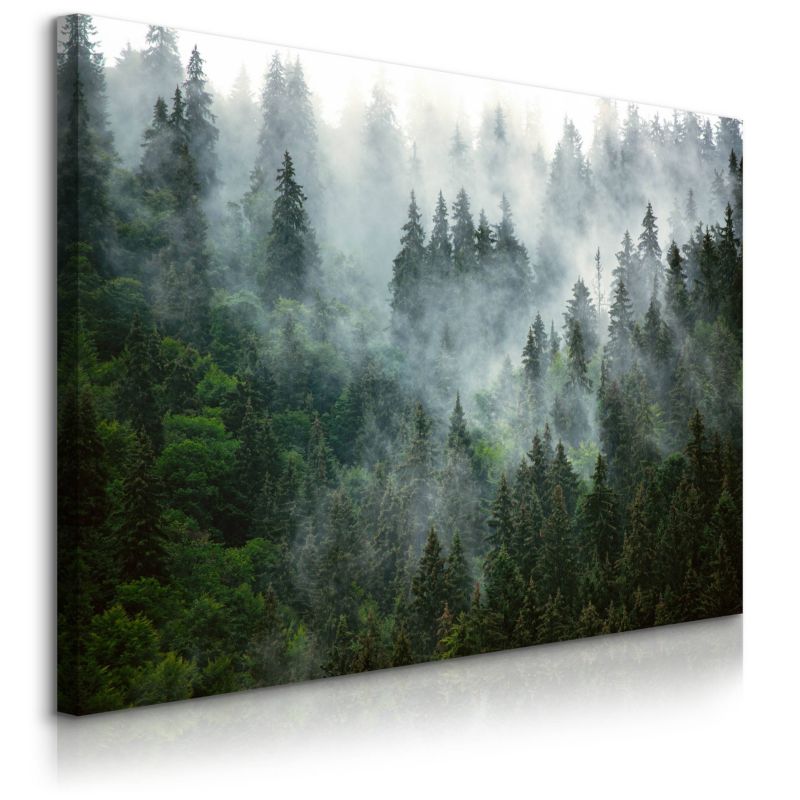 Obraz Muralo Mglisty Krajobraz Górski 100x70 cm 1 szt.