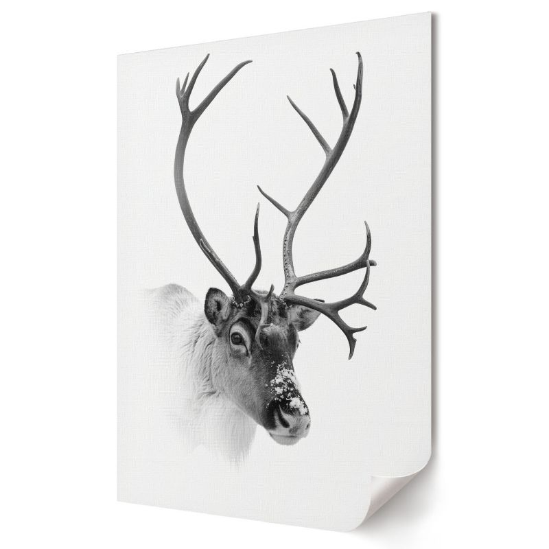 Plakat canvas Wallfluent Format A3 Renifer zimowy Artysta Nyra 1 szt.