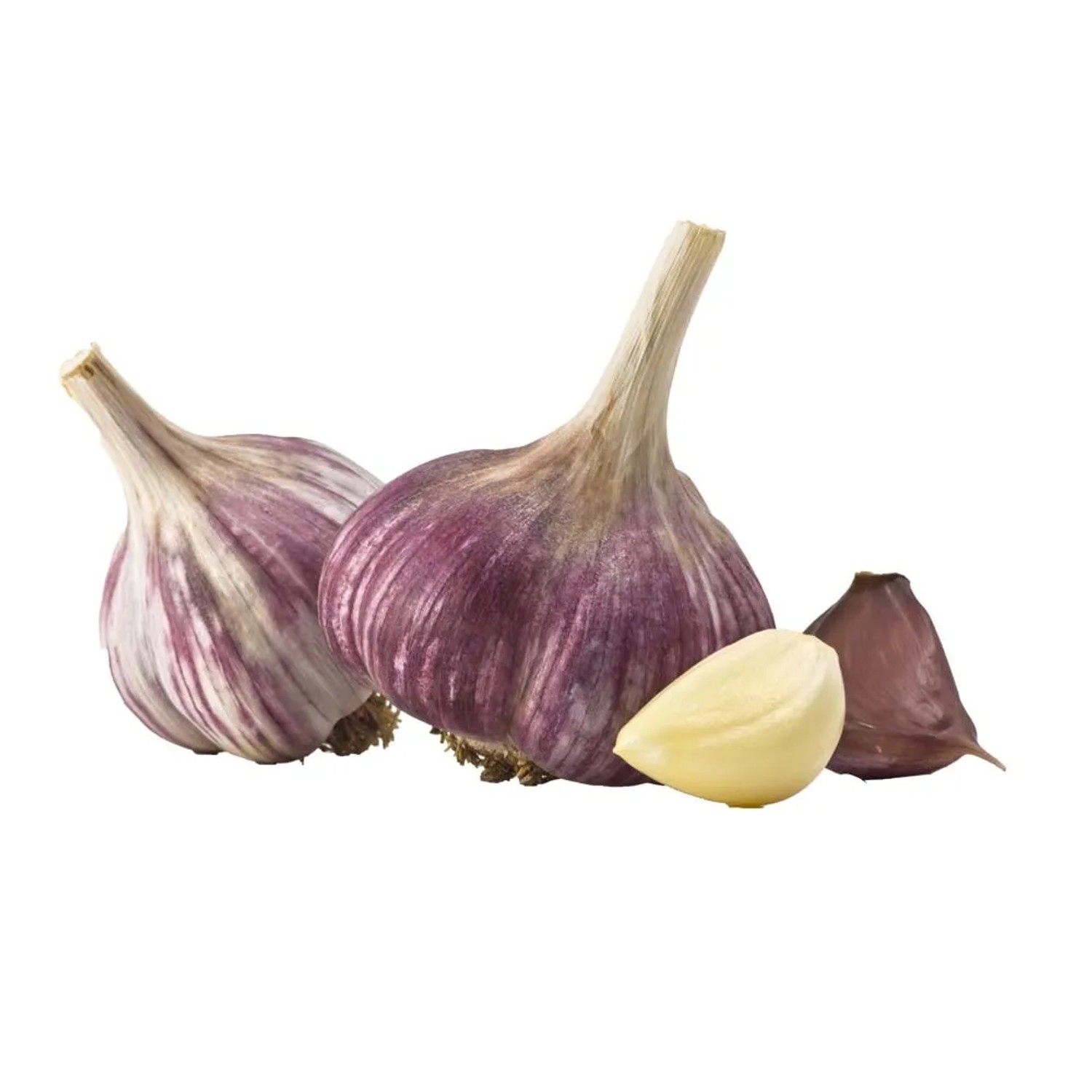 Czosnek jadalny (Allium sativum) Harnaś - 250 g