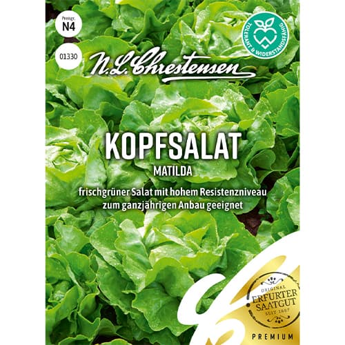 1 szt, Kopfsalat Matilda - Samen: Ilość w opakowaniu: 1 Stück