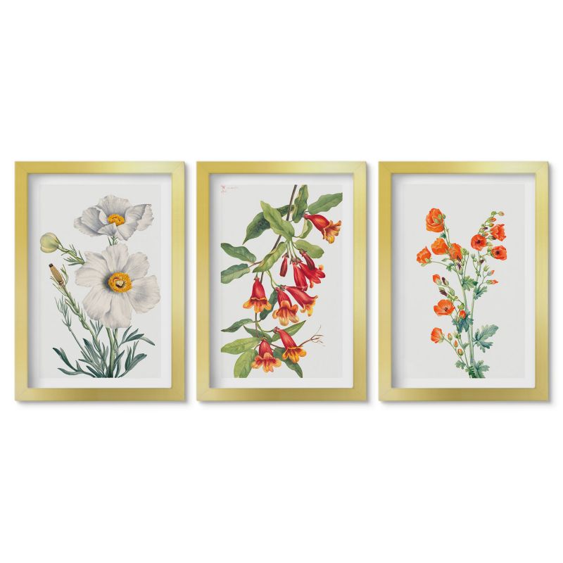 Seria obrazów 3 sztuki Tulup 20x30 cm Kwiatowe kompozycje retro Obrazy w złotej ramie 1 kpl