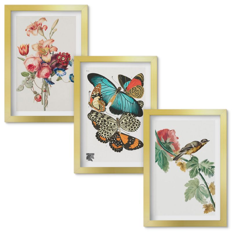 Obrazy Do Sypialni Wallfluent Kwiaty motyle ptak pastel Złota rama 20x30cm 3 szt.