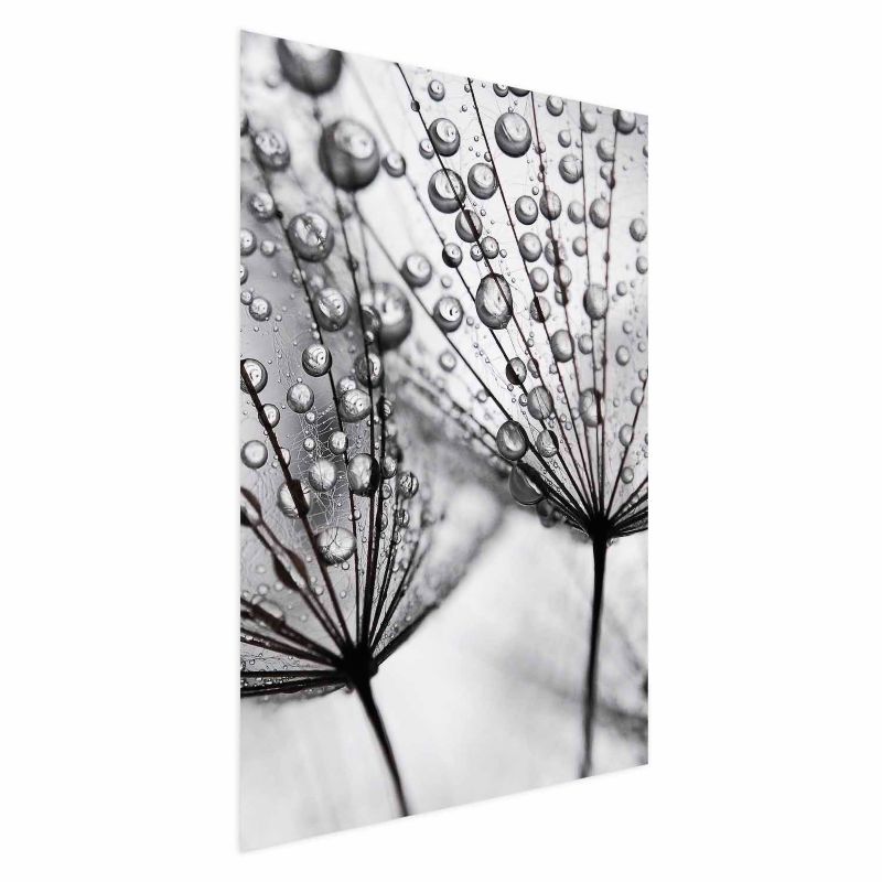 Plakat Artgeist Rosa 21x30 cm bez ramy 1 szt