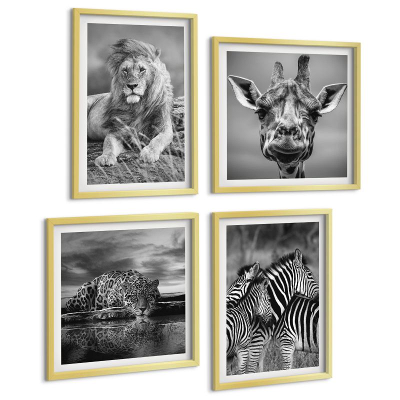 Czteroczęściowy Zestaw Obrazów ArtPrintCave (2x50x50+2x40x60cm) Złota rama Dzikie Zwierzęta Lew Jaguar Żyrafa Zebry 1 kpl.