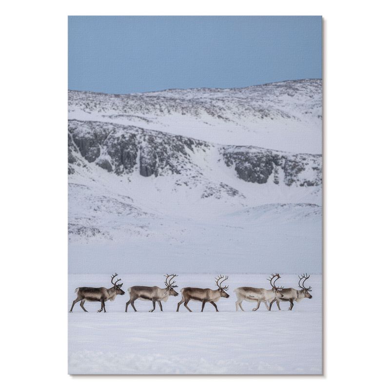 Obraz Plakat Canvas Tulup 42x59,4 cm (A2) Renifery w górach Do salonu, biura, sypialni 1 szt.