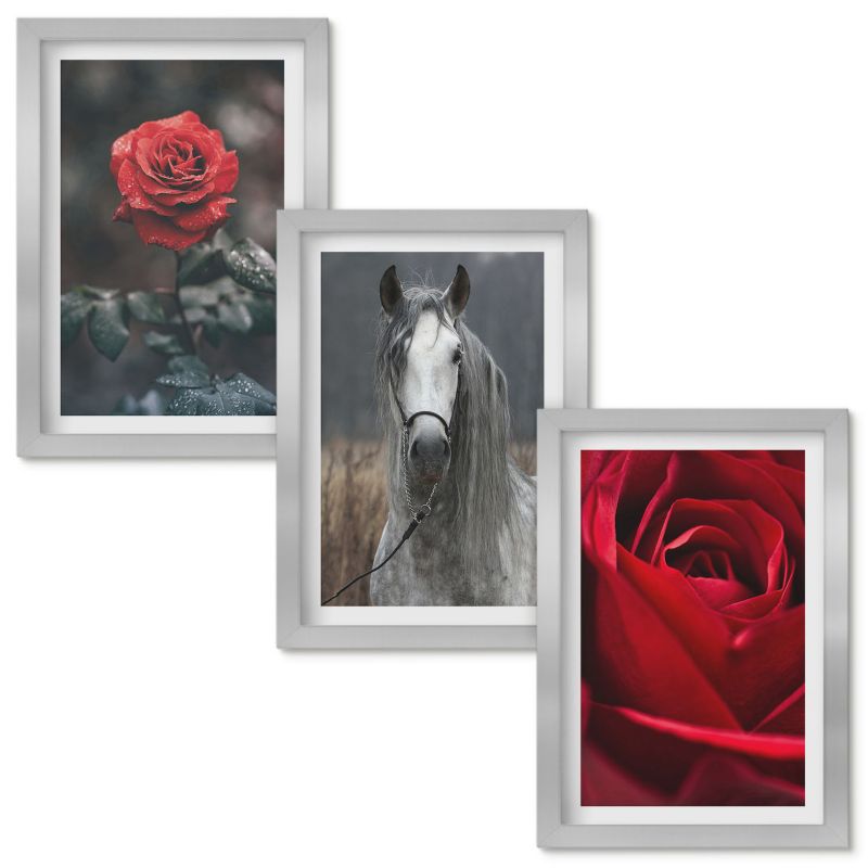 Obrazy do Salonu Wallfluent Czerwone róże koń szary świat Srebrna rama 20x30cm 3 szt.