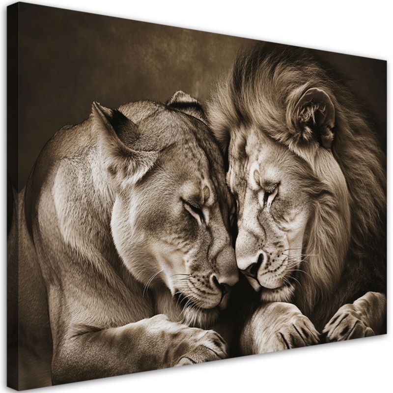 Obraz do salonu sypialni kuchni biura loftu Feeby Para lew i lwica 100x70cm 1szt