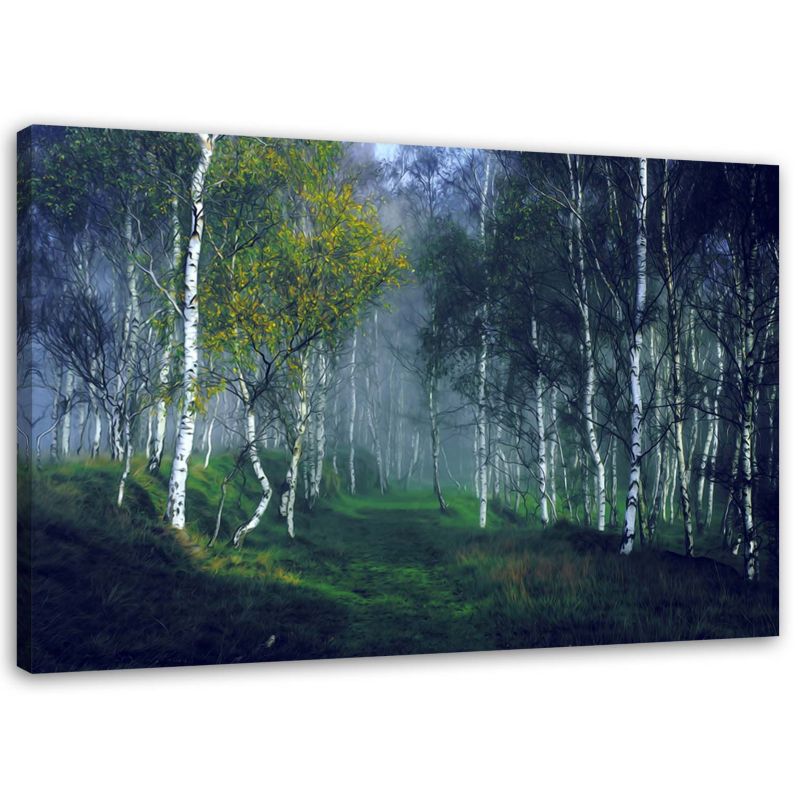Obraz na płótnie Feeby Las brzozowy we mgle 60x40cm 1szt