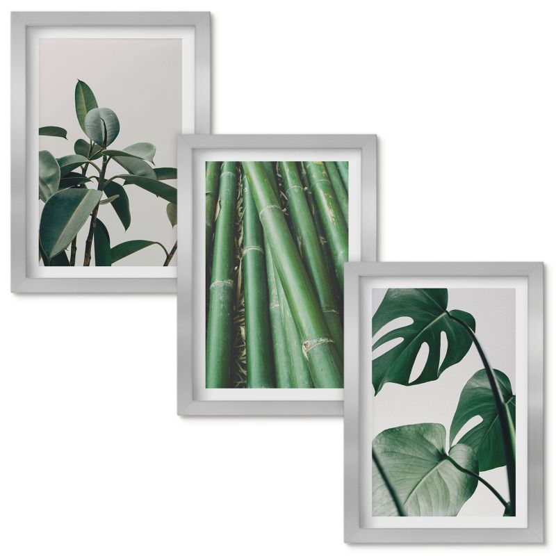 Zestaw Obrazów w Ramie Wallfluent Bambusowe łodygi i liście monstera Srebrna rama 20x30cm 3 szt.