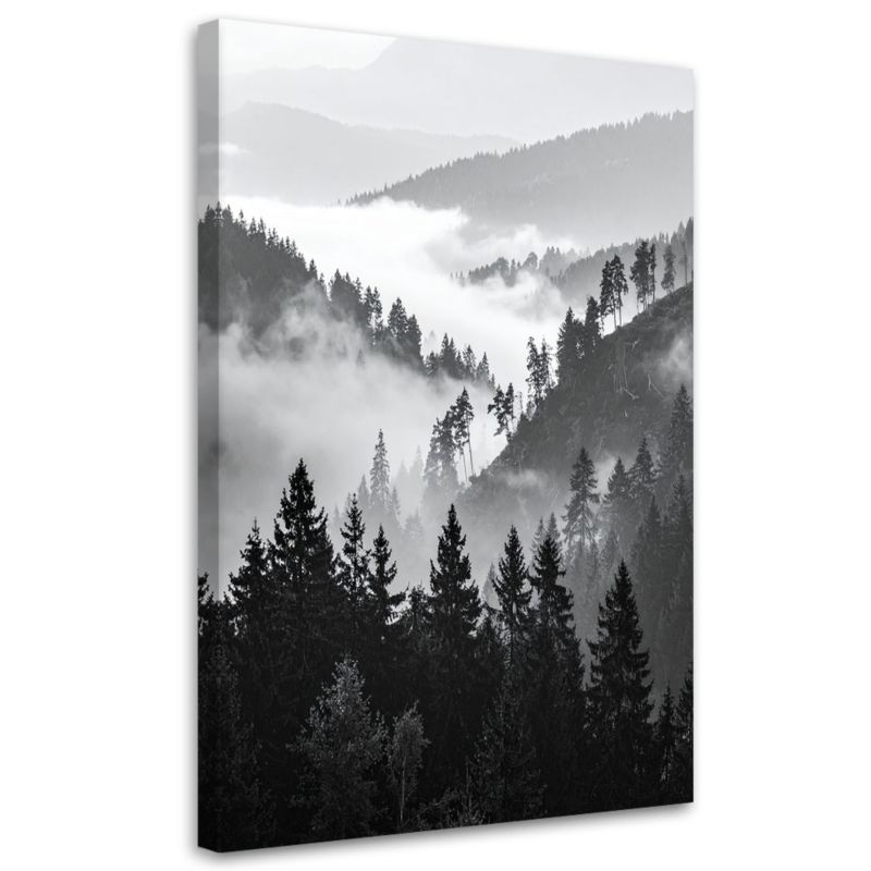 Obraz nowoczesny Feeby Góry Las Drzewa Czarno Biały 70x100cm 1szt