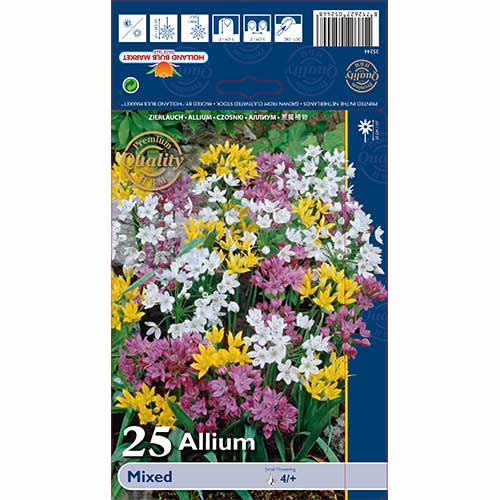 Czosnek (Allium), mix kolorw - Cebule. Ilość w opakowaniu: 25 szt. - GradinaMax