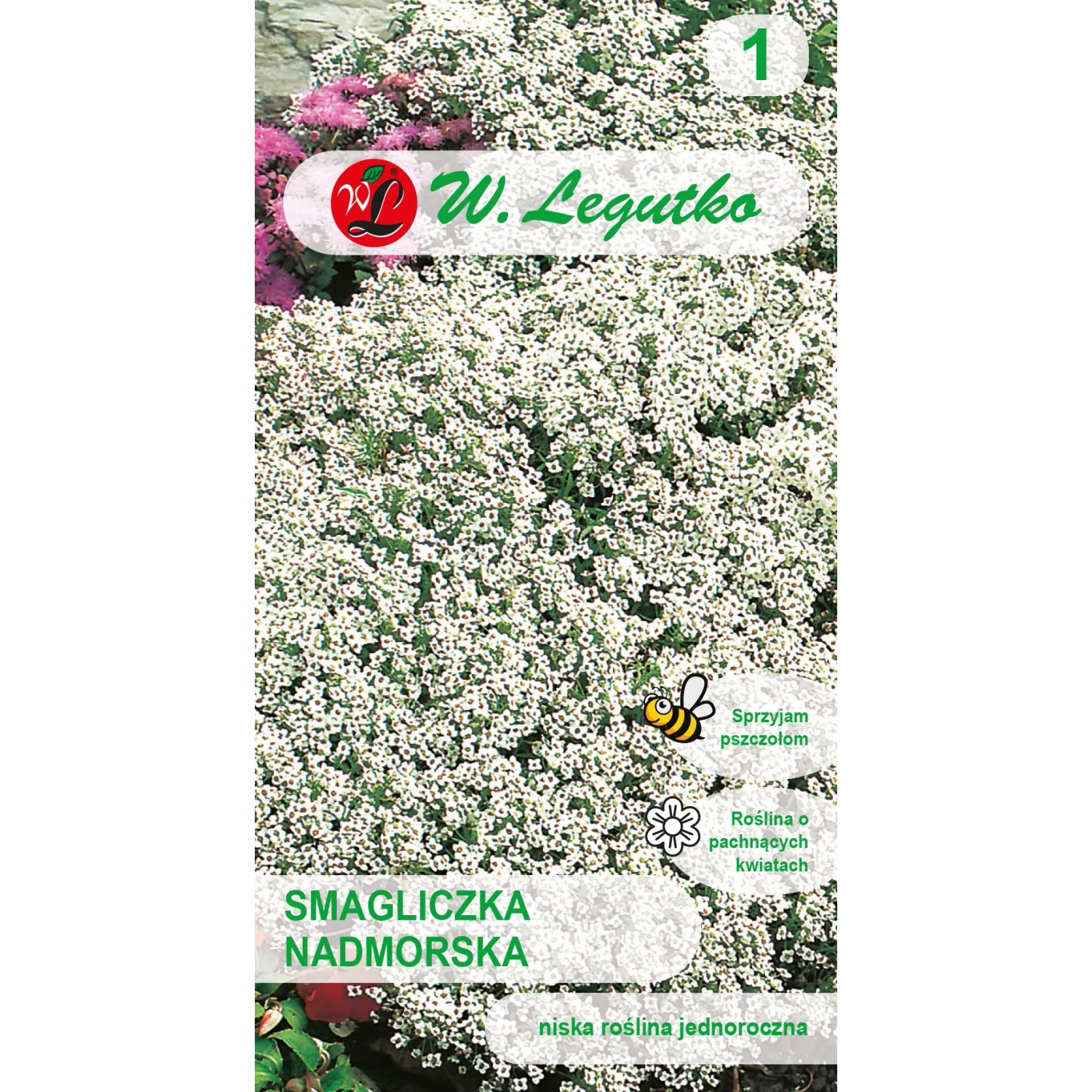 Legutko Smagliczka nadmorska biała 0,5g