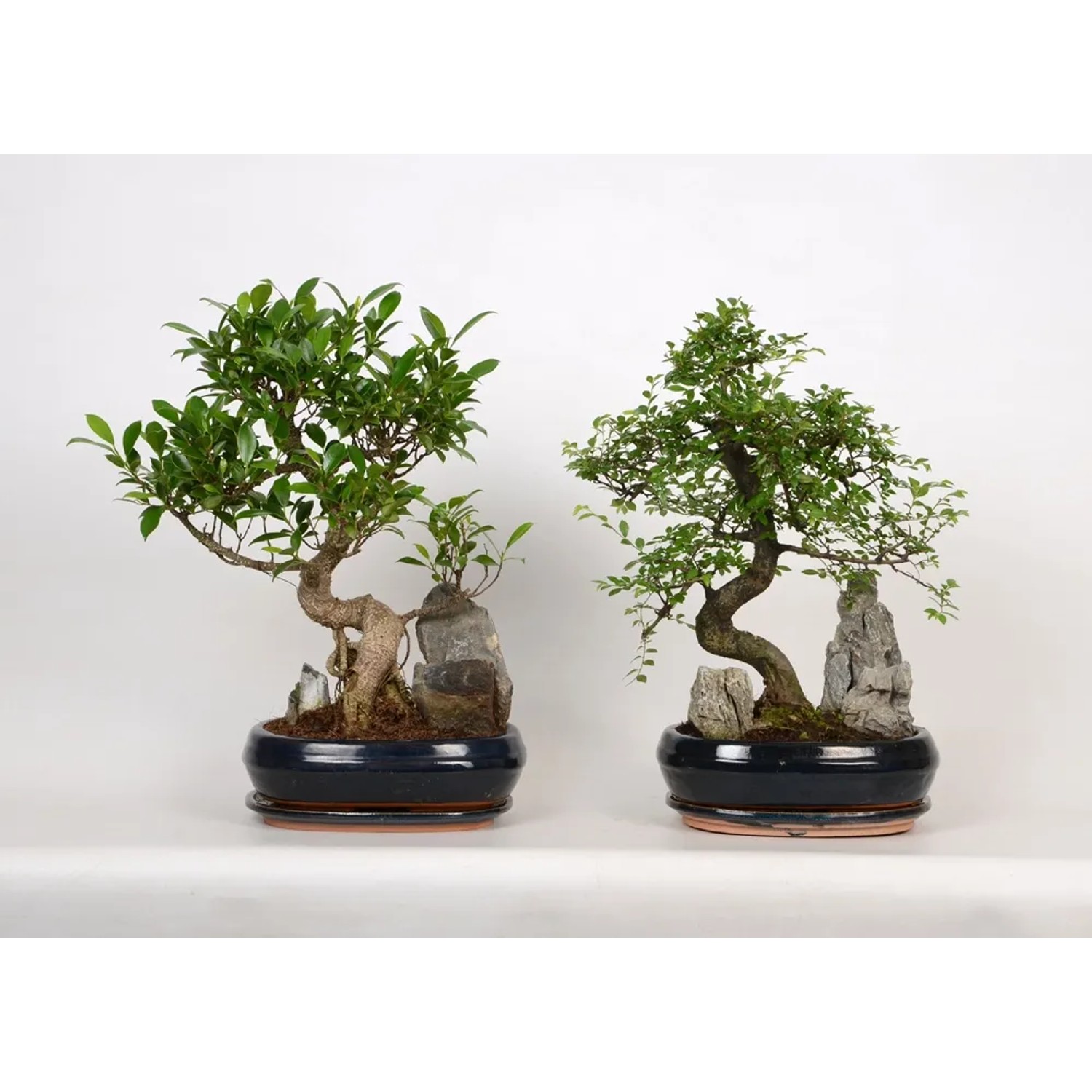 Drzewko Bonsai dekoracyjne kamień z podstawką - don. 26 cm