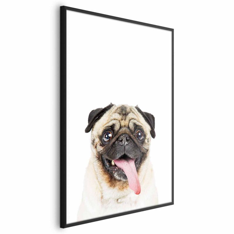 Plakat Artgeist Mops 40x60 cm z ramą czarną 1 szt