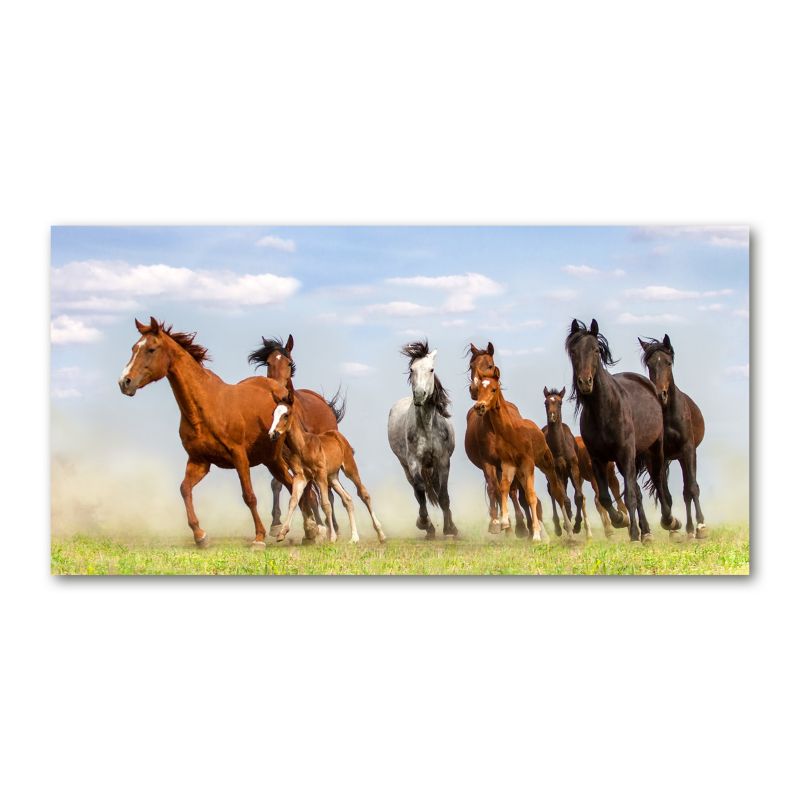 Obraz canvas Tulup Konie w galopie 140x70 cm 1 szt.