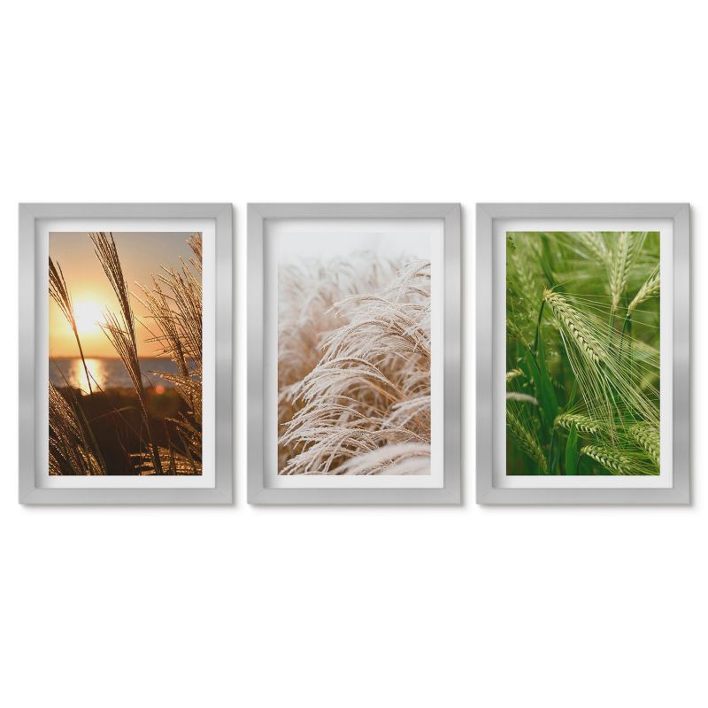 Obrazy w srebrnej ramie Tulup 20x30 cm Trawy kolorowa natura Dekoracja ścienna do przedpokoju 1 kpl