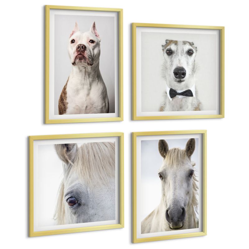 Zestaw 4 Obrazów ArtPrintCave (2x50x50+2x40x60cm) Złota rama Portrety psów i koni elegancko 1 kpl.