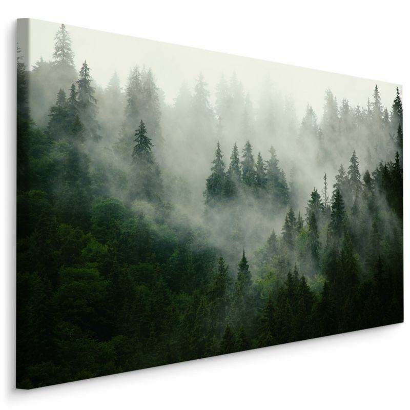 Obraz Las We Mgle Krajobraz Natura 40x30 cm 1 szt.
