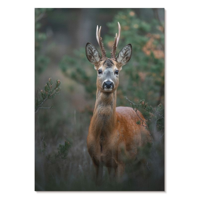 Plakat na Ścianę Tulup 29,7x42 cm (A3) Jeleń w lesie Do salonu, sypialni, biura 1 szt.