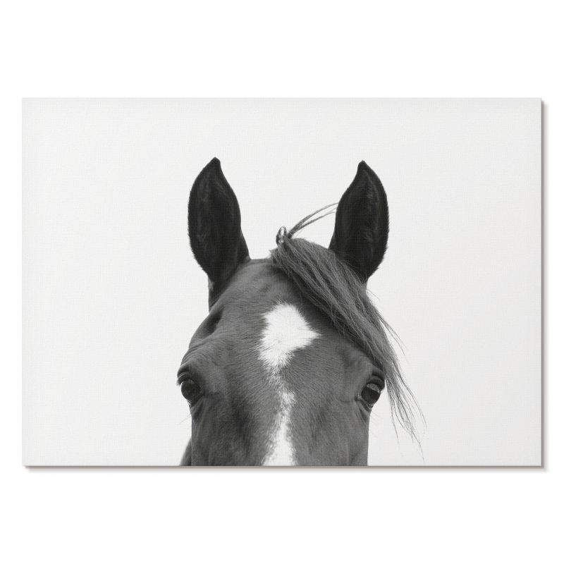 Plakat na Płótnie Tulup 42x29,7 cm (A3) Uszy konia Do salonu, biura, sypialni 1 szt.