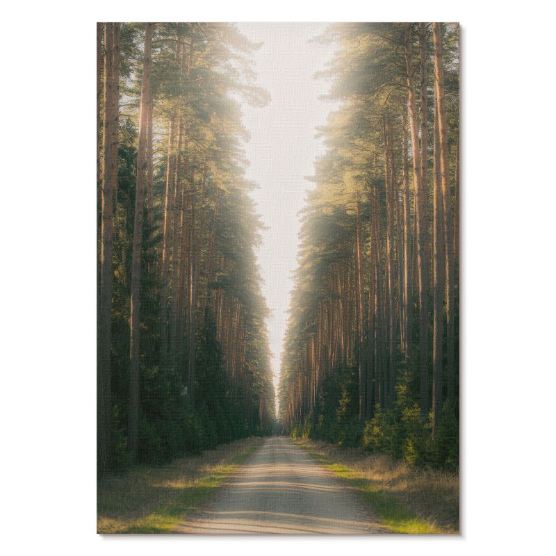 Plakat na Ścianę Tulup 59,4,x84 cm (A1) Leśna droga Do salonu, biura, sypialni 1 szt.