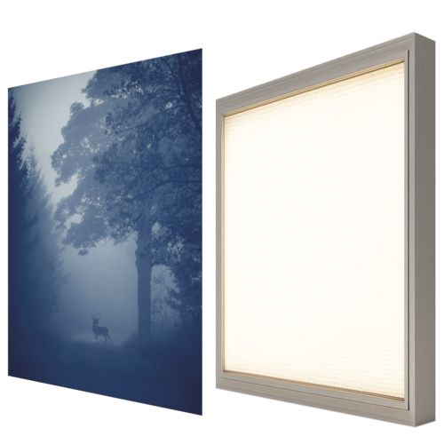 Obraz podświetlany LED LED'S Design Jeleń ramka srebrna CANVAS SLIM 50x70 cm + zasilacz 1 szt.