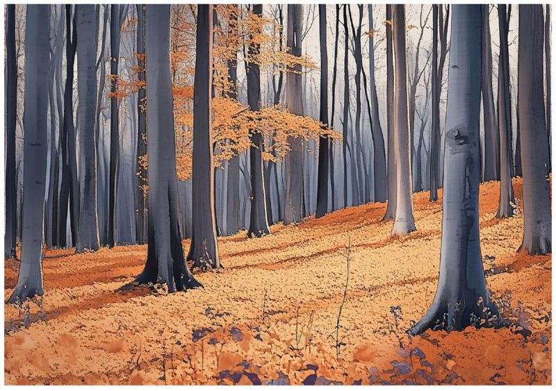 Fototapeta Las Drzewa Natura WALLARENA 400x280 cm Tapeta Ścienna Na Flizelinie 1 szt.
