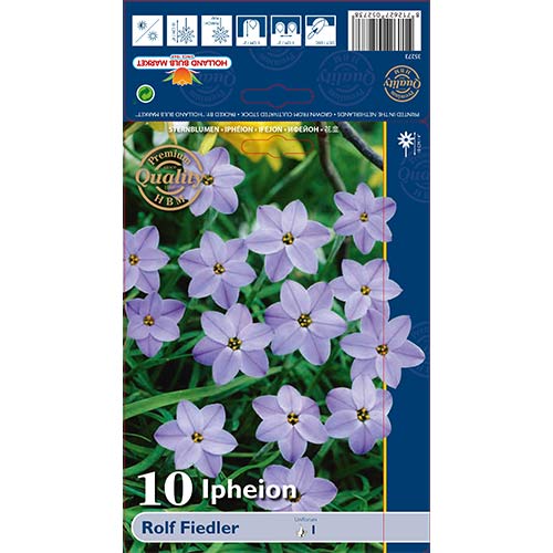 10 cib, Ipheion Rolf Fiedler - : Monžstvo balíkov: 10 cib