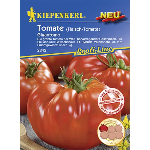 1 szt, Fleischtomate Gigantomo F1 - Samen: Ilość w opakowaniu: 1 Stück