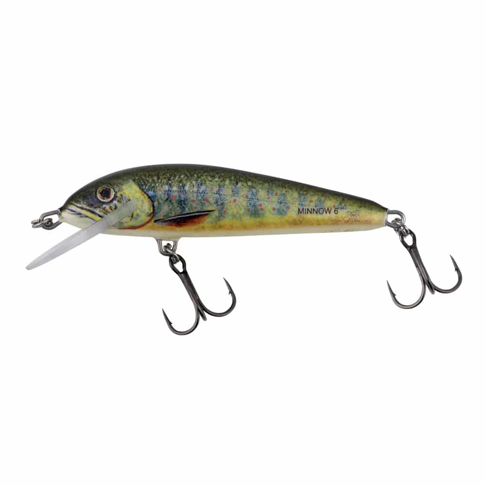 Salmo Wobler Minnow 5cm Tonący Lake Charr