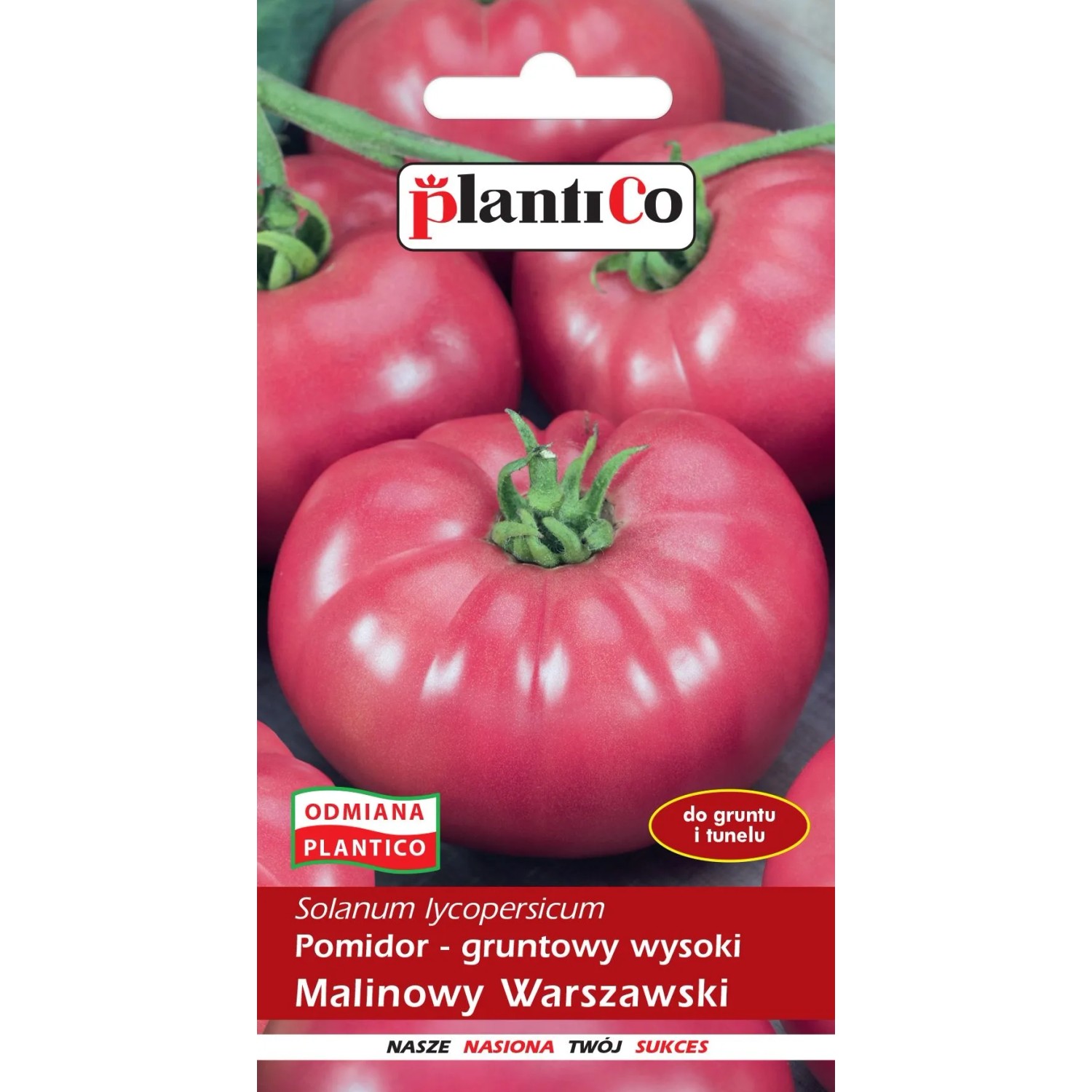 Pomidor wysoki Malinowy Warszawski - 0,5 g