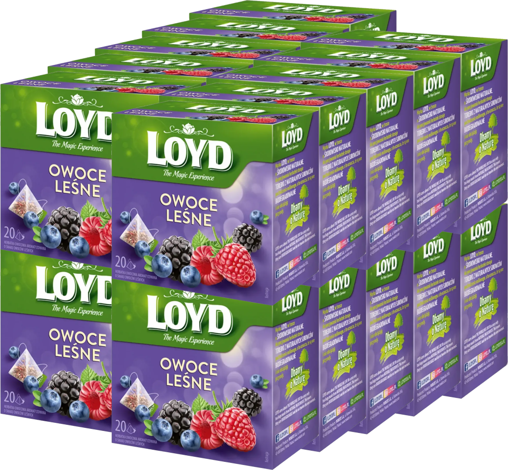 20x Herbata owocowa w piramidkach Loyd, owoce leśne, 20 sztuk x 2g