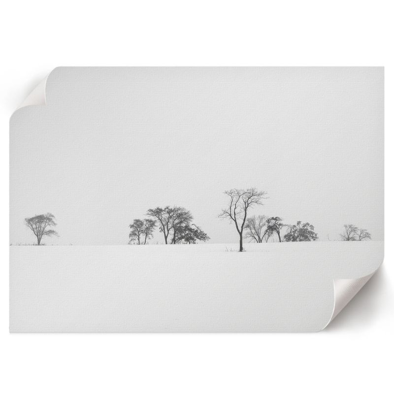 Plakat Na Płótnie ArtPrintCave 59,5x42 cm Drzewa zimą Wandal 1 szt.